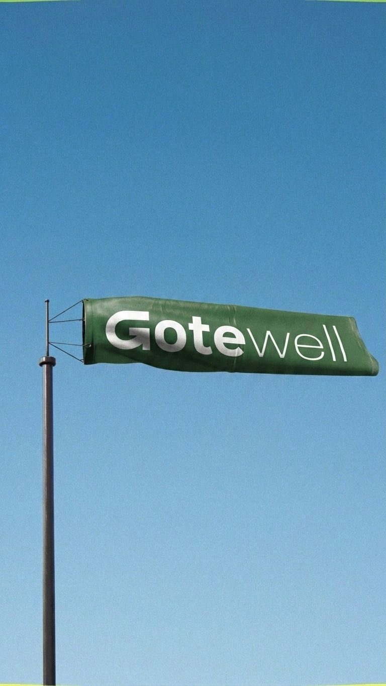 Gotewell windsock against a blue sky